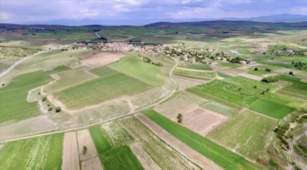 Türkiye'den karış karış tarım arazisi alan Bill Gates açıkladı! Türkiye'den arazi almasının nedeni bakın ne çıktı... 7